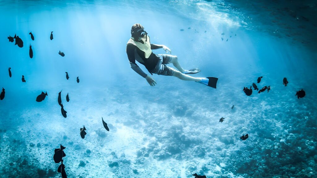 Diver exploring a coral reef with colorful fish in Fujairah’s clear waters
