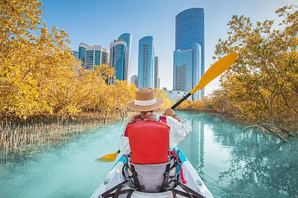 Kayak through the Mangroves