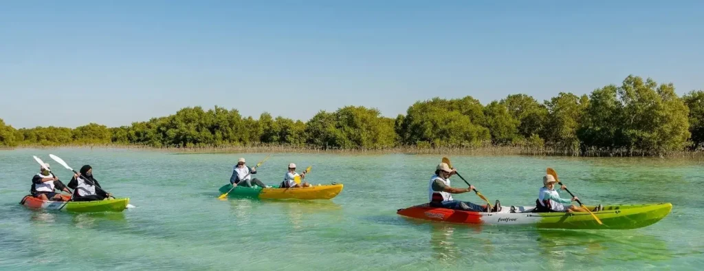 Kayak through the Mangroves