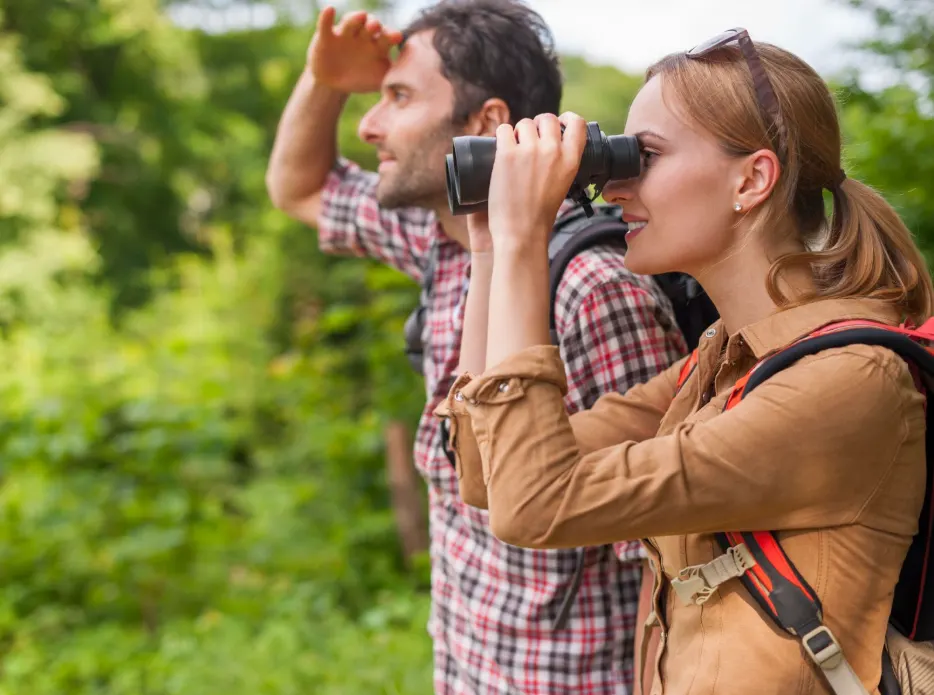 A man and a woman watching birds with a binocular